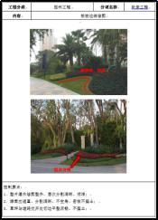 陳卓林:做行業(yè)標桿 讓業(yè)主滿意