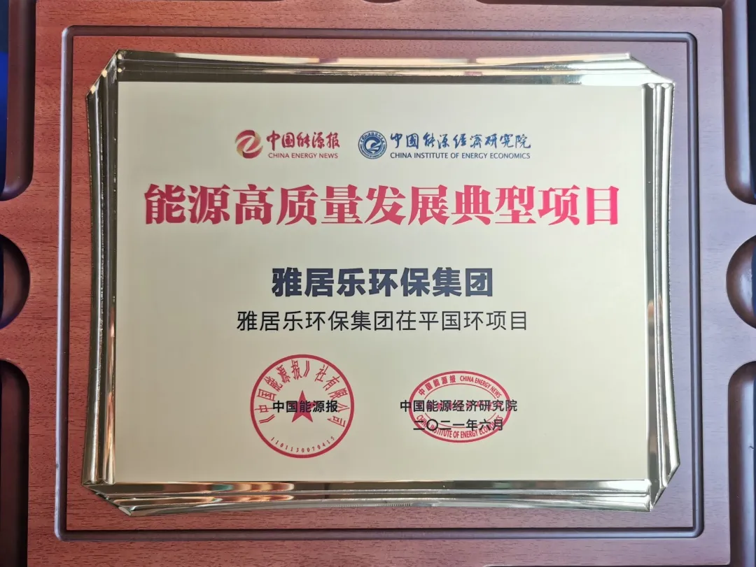 3、茌平國環(huán)能源獎.png